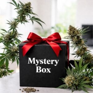 Mystery Box